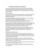 Las expresiones faciales en la infancia