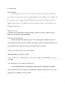 Plan de negocios - Idea de Negocio