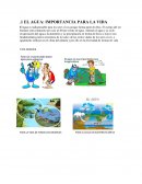 EL AGUA: IMPORTANCIA PARA LA VIDA