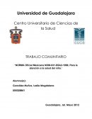 TRABAJO COMUNITARIO “NORMA Oficial Mexicana NOM-031-SSA2-1999, Para la atención a la salud del niño.”