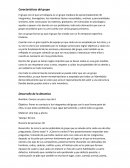 Teorias y características de grupos