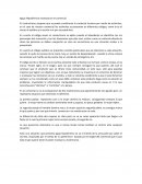 Aguja Hipodérmica mostrada en el comercial.