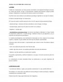 TEMAS 1 EL ESTUDIO DEL LENGUAJE