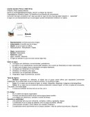 Charles Sanders Peirce (1839-1914)