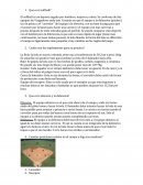 Softbol.Que es el softball?