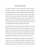 Estructura optima de capital