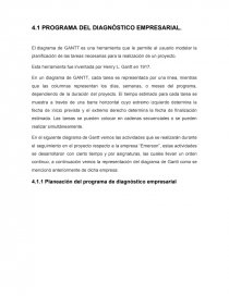 PROGRAMA DEL DIAGNÓSTICO EMPRESARIAL. -. Página 1