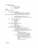 La empresa - Práctica