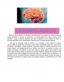 Adicciones y sus efectos en el cerebro