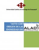 Auto-certifiación del origen de las mercancías; Idoneidad del mecanismo