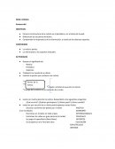 Planificacion mensual: la noticia