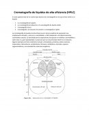 Cromatografía de líquidos de alta eficiencia (HPLC)
