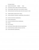 Actividades diarias - Horario