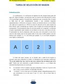 Tarea de selección de wason 2015