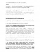 RECONOCIMIENTO VISUAL DE LAS PALABRAS