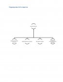 Organigrama de empresa y plan de gerencia de talento humano