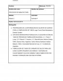 PROPIEDADES DE LA DEFORMACIÓN EN CALIENTE DE ACEROS PARA LA FABRICACIÓN DE TUBOS Jorge Tormo Elena Brandaleze y Daniela Cavaleri