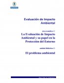 La Evaluación de Impacto Ambiental y su papel en la Protección del Entorno