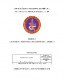 APLICACIÓN Y DISEÑO DE LA MECATRÓNICA EN LA MILICIA