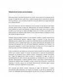 Administración de compras estratégicas