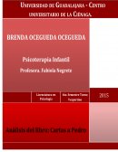 Analisis del libro Cartas a pedro