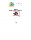 Implementando un Data Center