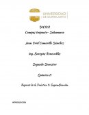 Practica saponificación - Química