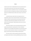 Ensayo sobre El túnel de E. S.