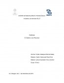 El oceano y sus recursos VI. el bentos y necton
