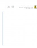 DESARROLLO SUSTENTABLE PROYECTO FINAL: PET RECYCLE