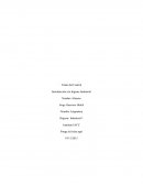 Introducción a la higiene Industrial - Informe