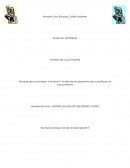 Actividades - Análisis de los elementos que constituyen el conocimiento