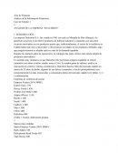 Análisis - Información Financiera