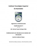 Establecimiento de indicadores de medición del desempeño