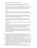 Identificación y caracterización del producto y/o servicio