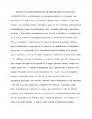 Ejemplo de el Desarroll del corazón