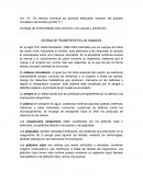 SISTEMA DE TRANSPORTE EN LOS HUMANOS