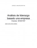 Análisis de liderazgo basado una empresa