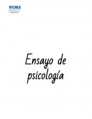 Psicologia del desarroyo