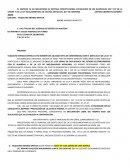 EL MECANISMO DE AMPARO