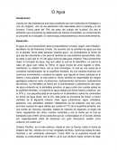 El Agua - Reseña