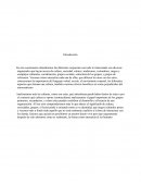 Cuestionario Cultura