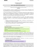 PLIEGO PRIMER INFORME PEDAGÓGICO