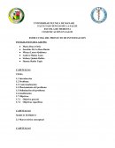 ESTRUCTURA DEL PROYECTO DE INVESTIGACION.