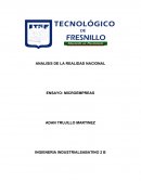 Ensayo - Análisis de la realidad nacional: Microempresas