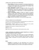 Rocas sedimentarias preguntas para examen