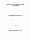 Reporte de lectura de La reina del sur