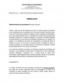 PRÁCTICA No. 2 IDENTIFICACIÓN DE BIOMOLÉCULAS