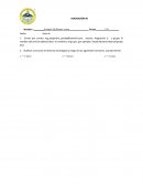 Resumen de personalidad