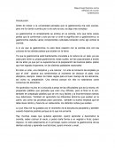 Pensaba que la gastronomía era solo cocinar,